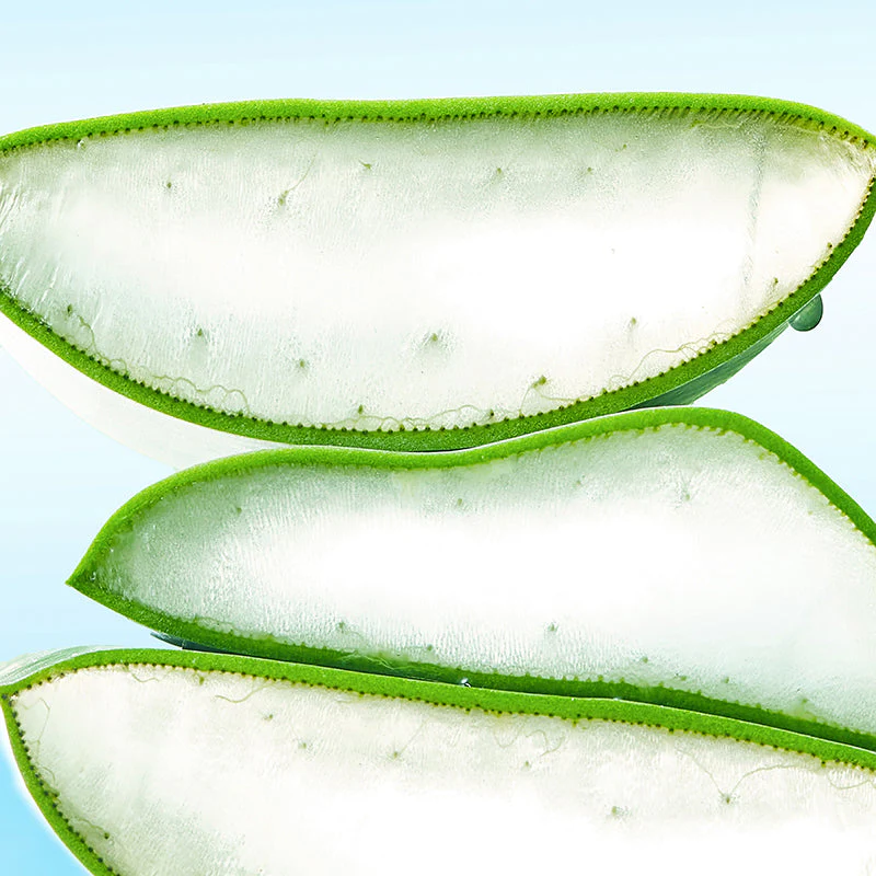 Blue Oasis Aloe Hydrating Serum - Image 8
