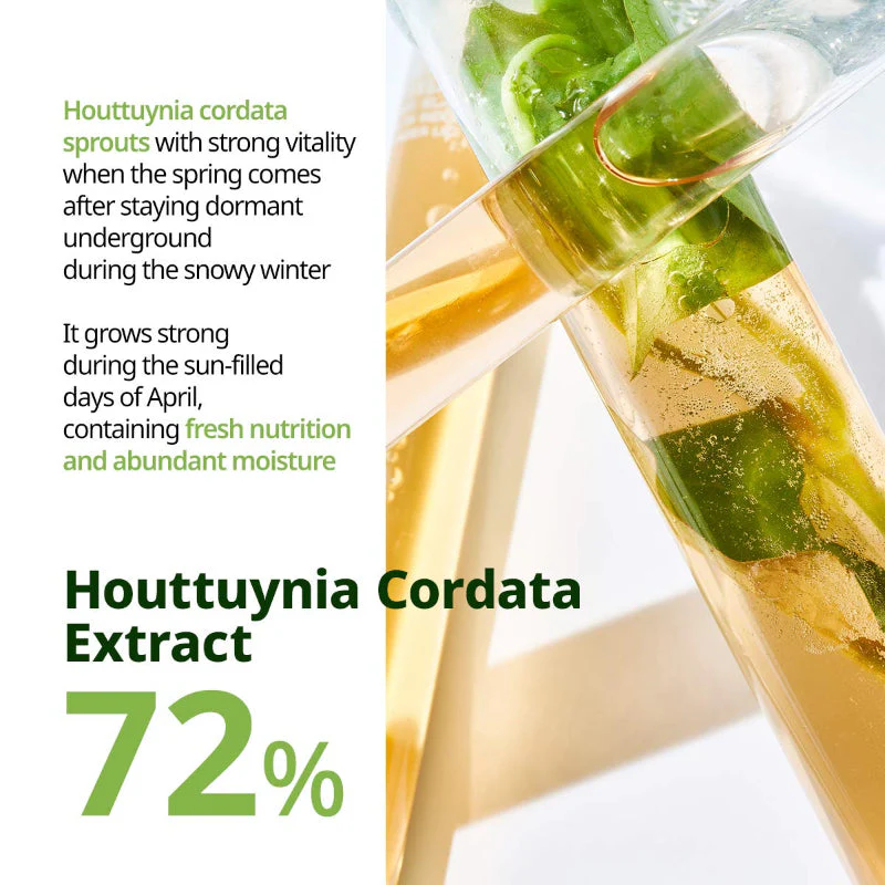 Houttuynia Cordata Calming Mask - Image 5