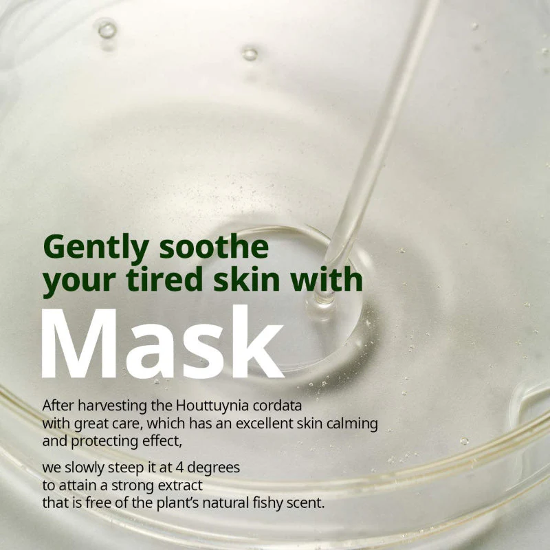 Houttuynia Cordata Calming Mask - Image 7