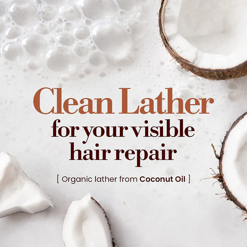 Honey & Macadamia Shampoo - Image 14