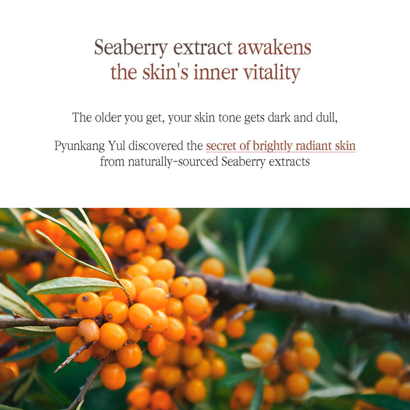 Black Tea Boosting Serum - Image 9